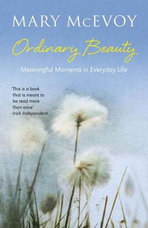 Ordinary Beauty: Meaningful Moments in Everyday Life de Mary Mcevoy