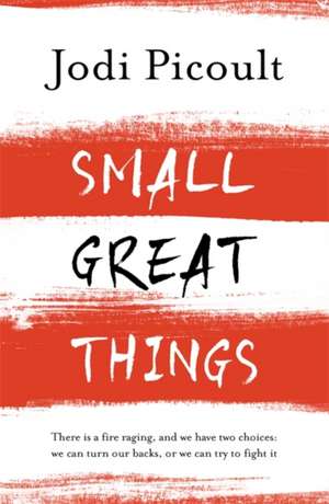 Small Great Things de Jodi Picoult