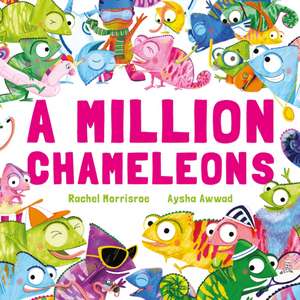 A Million Chameleons de Rachel Morrisroe