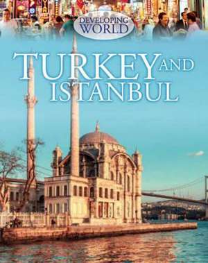 Steele, P: Developing World: Turkey and Istanbul