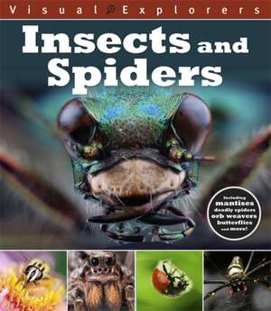 Visual Explorers: Insects and Spiders de Paul Calver