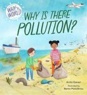 Why in the World: Why is there Pollution? de Anita Ganeri