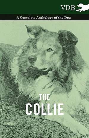 The Collie - A Complete Anthology of the Dog - de various