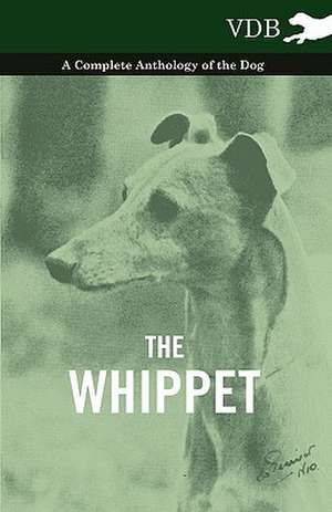 The Whippet - A Complete Anthology of the Dog de various