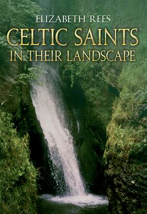 Celtic Saints in Their Landscape de Elizabeth Rees