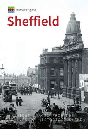 Historic England: Sheffield de Ian D Rotherham