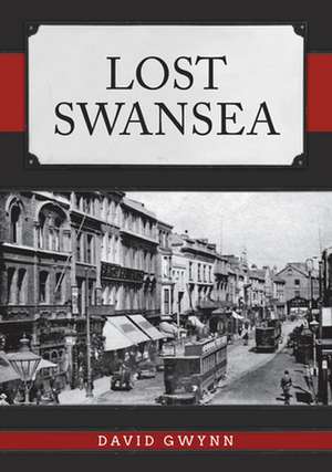 Lost Swansea de David Gwynn