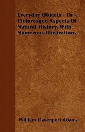 Everyday Objects - Or - Picturesque Aspects Of Natural History, With Numerous Illustrations de William Davenport Adams