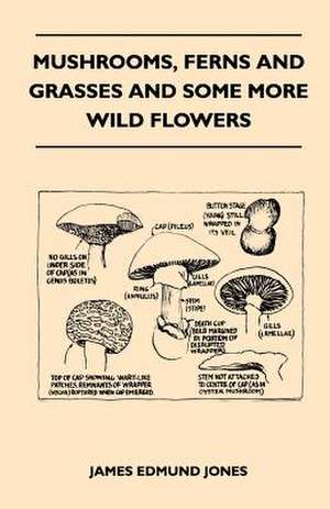 Mushrooms, Ferns And Grasses And Some More Wild Flowers de James Edmund Jones