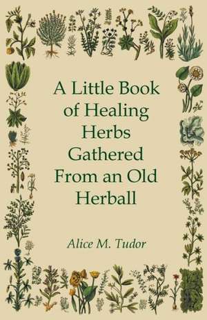 A Little Book of Healing Herbs Gathered From an Old Herball de Alice M. Tudor