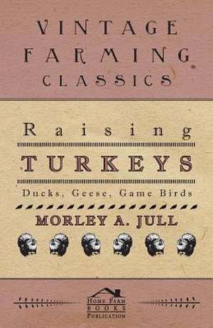 Raising Turkeys - Ducks, Geese, Game Birds de Morley A. Jull