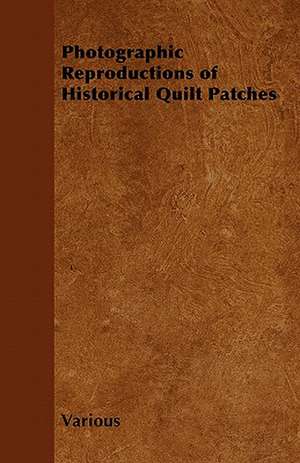 Photographic Reproductions of Historical Quilt Patches de Various