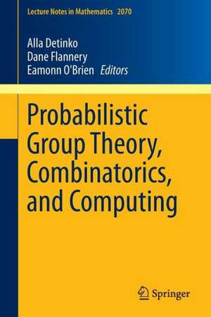 Probabilistic Group Theory, Combinatorics, and Computing: Lectures from the Fifth de Brún Workshop de Alla Detinko