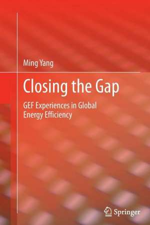 Closing the Gap: GEF Experiences in Global Energy Efficiency de Ming Yang