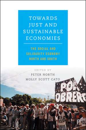 Towards Just and Sustainable Economies: The Social and Solidarity Economy North and South de Molly Scott Cato