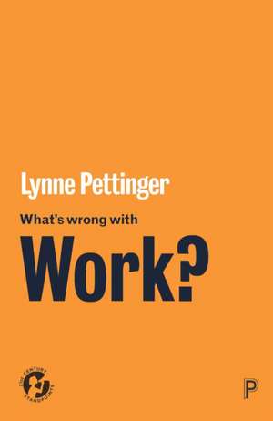 What's Wrong with Work? de Lynne Pettinger