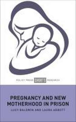 Pregnancy and New Motherhood in Prison de L Baldwin