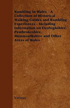 Rambling in Wales - A Collection of Historical Walking Guides and Rambling Experiences - Including Information on Denbighshire, Pembrokeshire, Monmout de Various