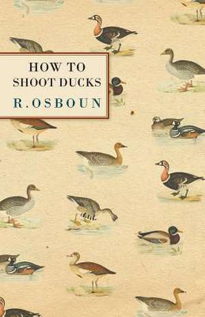 How to Shoot Ducks de R. Osboun