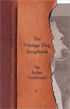 The Vintage Dog Scrapbook - The Italian Greyhound de various