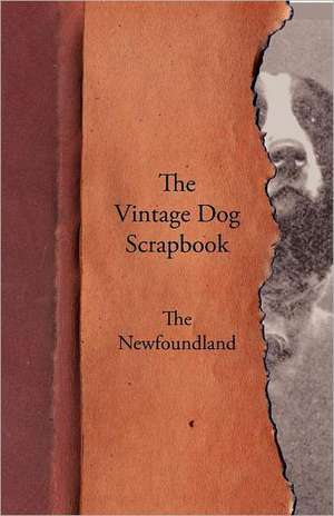 The Vintage Dog Scrapbook - The Newfoundland de various