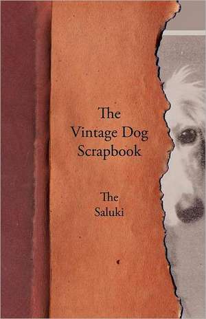 The Vintage Dog Scrapbook - The Saluki de various