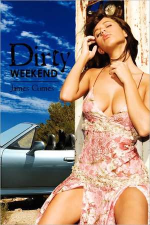 Dirty Weekend: The Investor Protection Handbook de James Cumes