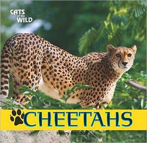 Cheetahs de Henry Randall