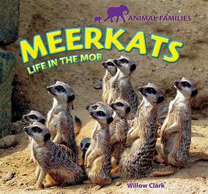 Meerkats: Life in the Mob de Willow Clark