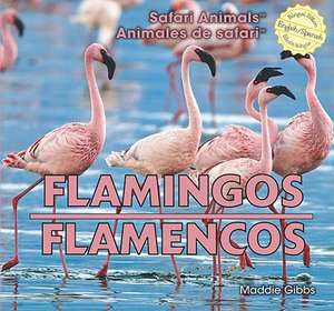 Flamingos/Flamencos de Maddie Gibbs