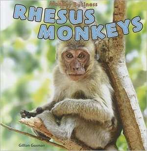 Rhesus Monkeys de Gillian Gosman