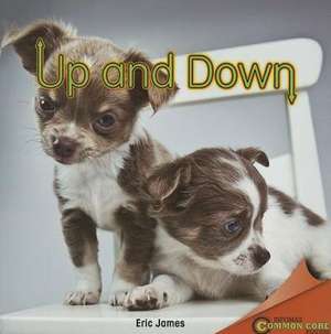 Up and Down de Eric James
