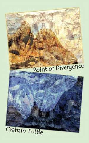 Point of Divergence de Graham Tottle