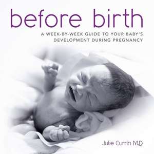 Before Birth de Julie Currin MD