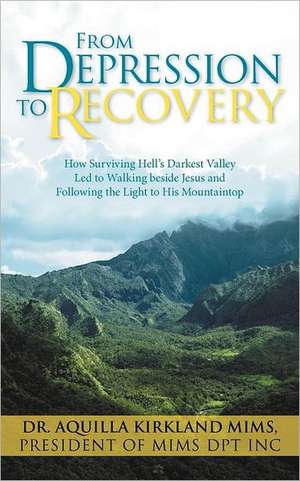 From Depression to Recovery de Mims Dpt Inc