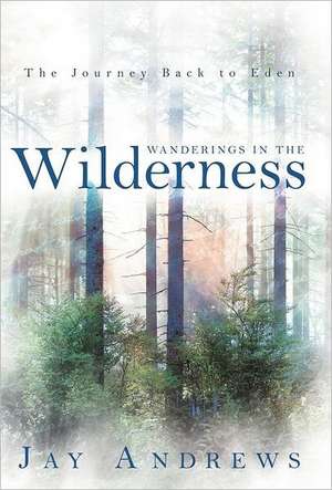 Wanderings in the Wilderness de Jay Andrews