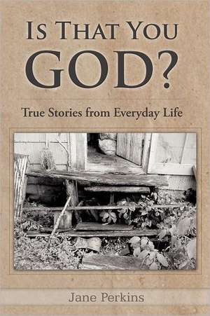 Is That You, God? de Jane Perkins