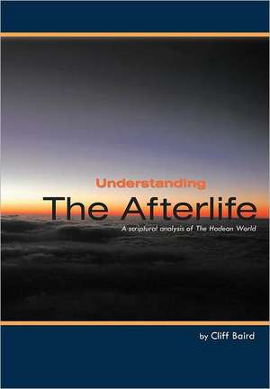 Understanding the Afterlife de Cliff Baird