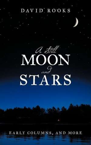 A Still Moon and Stars de David Rooks