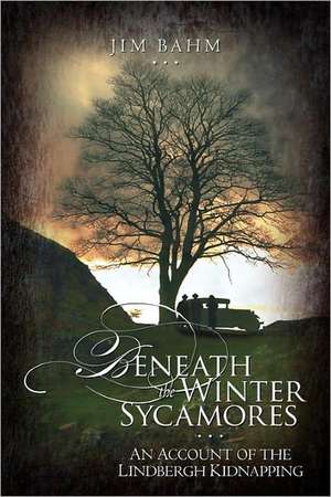 Beneath the Winter Sycamores: How I Beat Cancer Three Times de Jim Bahm