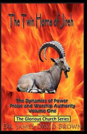 The Twin Horns of Jireh: The Dynamics of Power Praise and Worship Authority de James David Brown