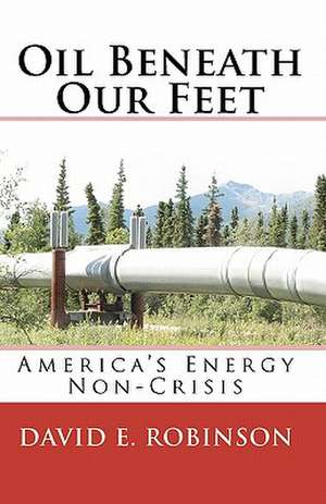 Oil Beneath Our Feet: America's Energy Non-Crisis de David E. Robinson