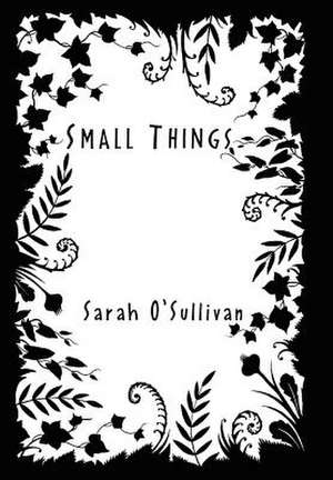 Small Things de Sarah O'Sullivan