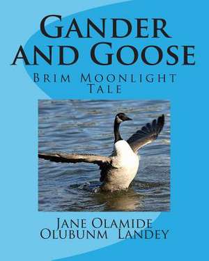 Gander and Goose de Jane Olamide Olubunm Landey