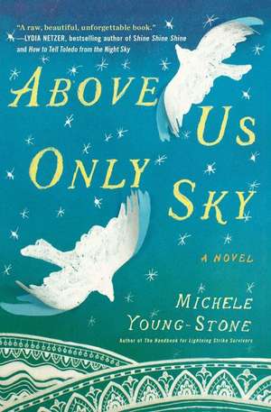 Above Us Only Sky de Michele Young-Stone