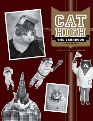 Cat High de Terry deRoy Gruber