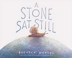 A Stone SAT Still de Brendan Wenzel