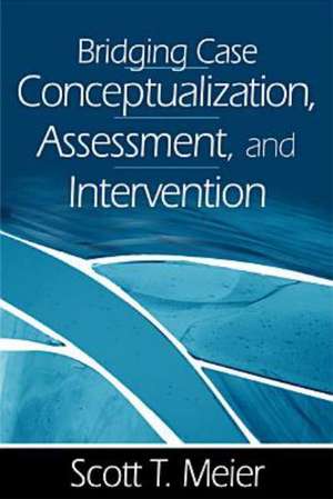 Bridging Case Conceptualization, Assessment, and Intervention de Scott T. Meier