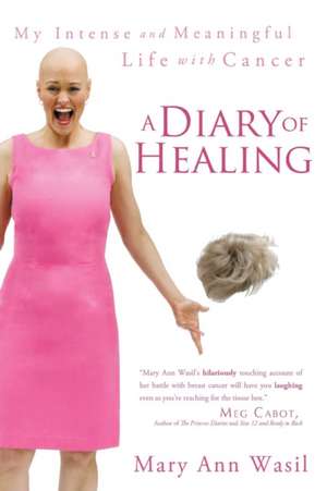 A Diary of Healing de Mary Ann Wasil