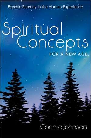 Spiritual Concepts for a New Age de Connie Johnson